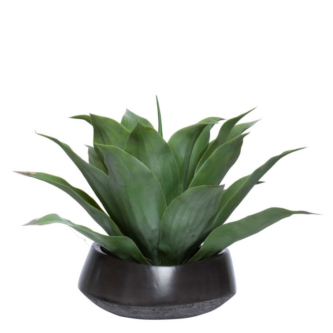 Realistic artificial agave plant in a modern black ceramic bowl planter