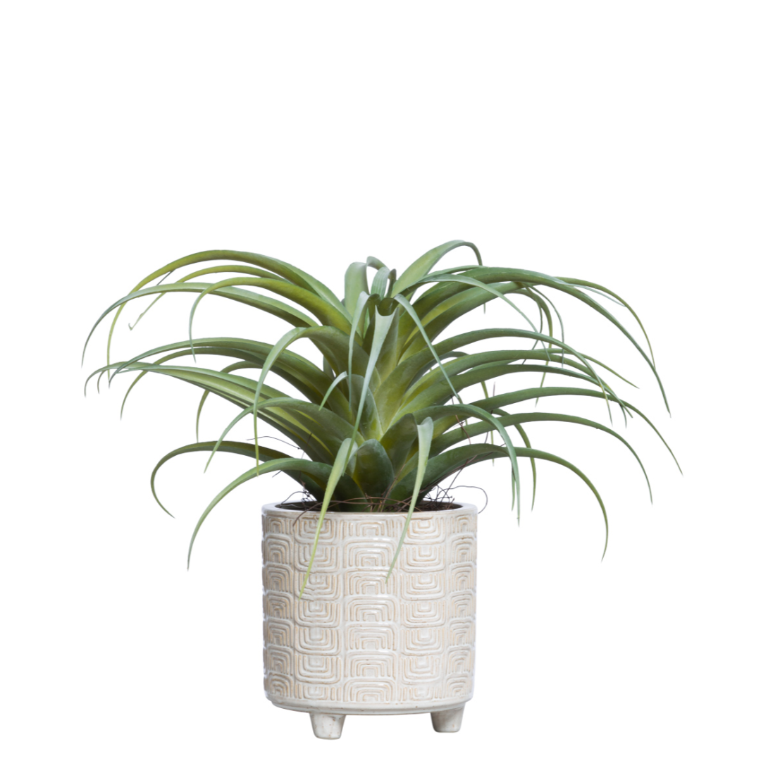 Artificial air plant in textured ceramic pot on white background