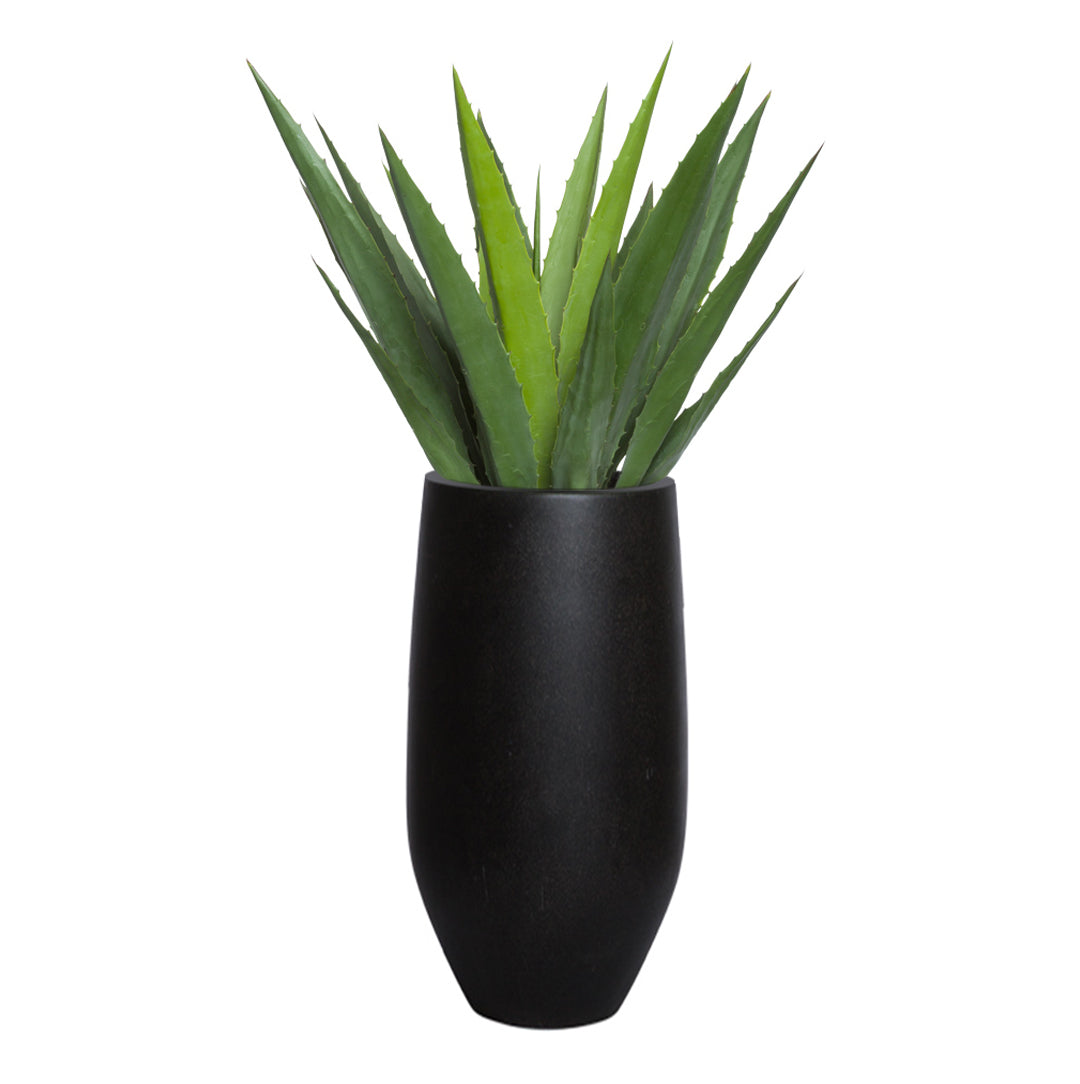 Artificial aloe plant in a modern black vase on white background