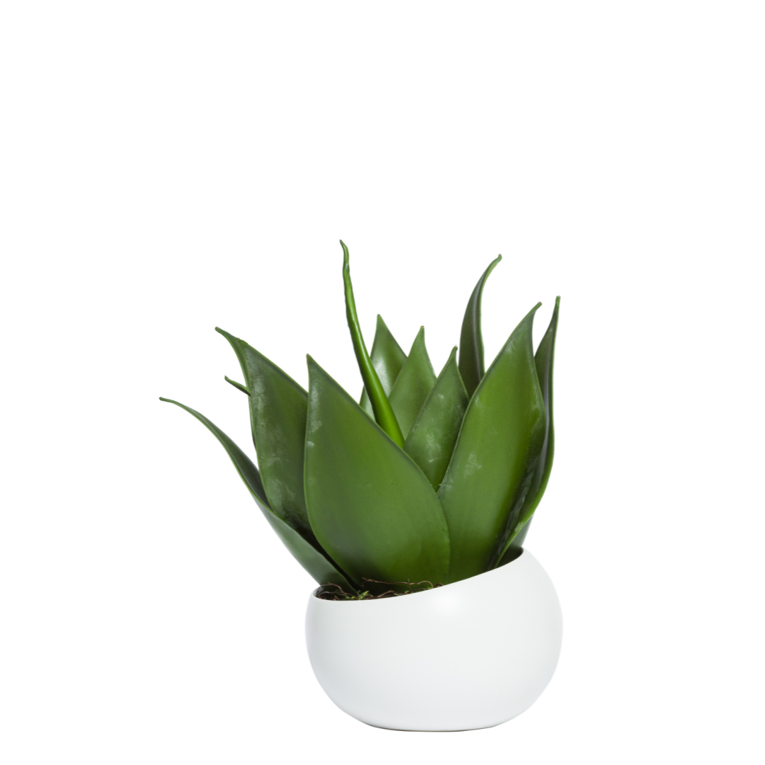 Artificial aloe plant with thick green leaves in a modern white round pot