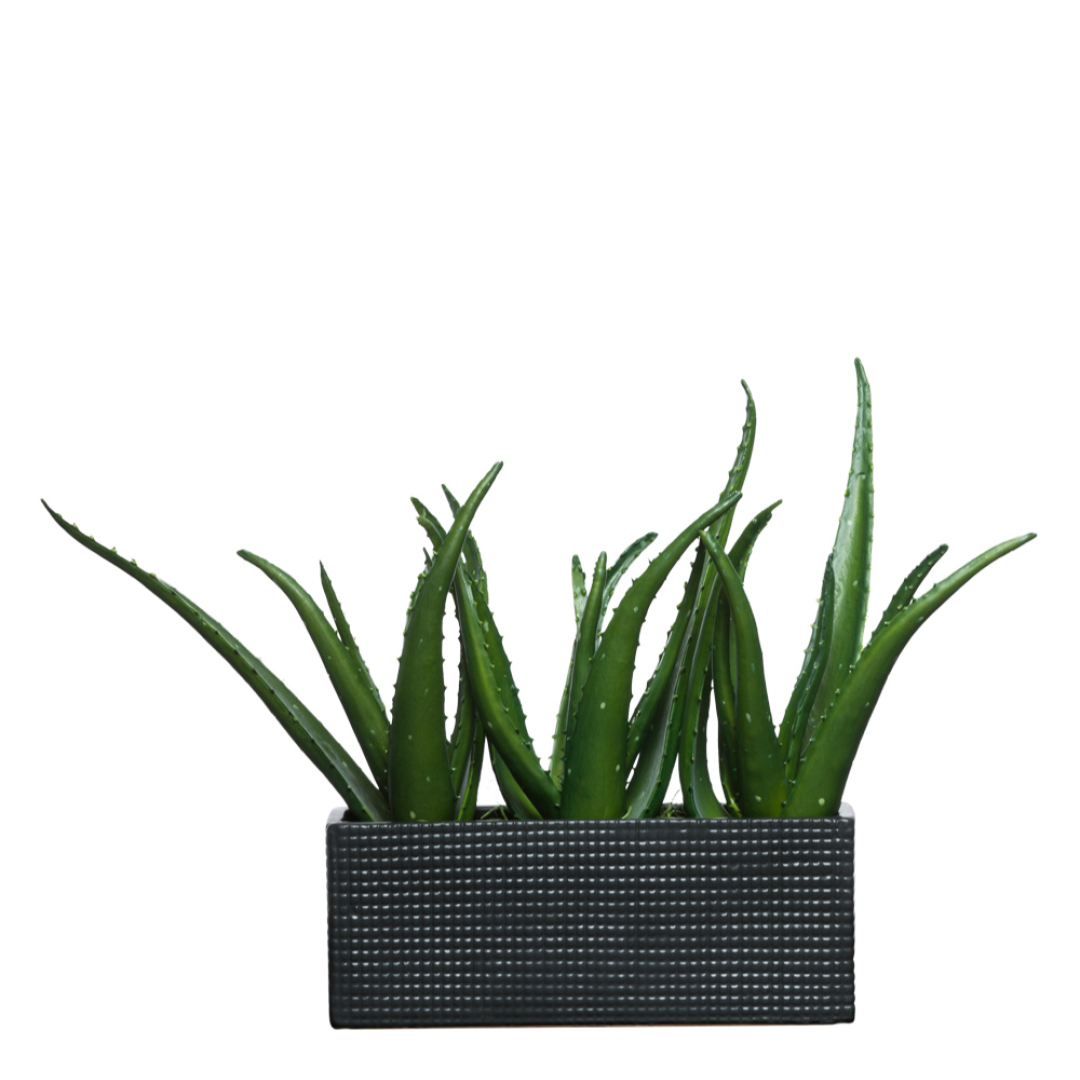Artificial aloe plant in a textured black rectangular planter, modern botanical decor