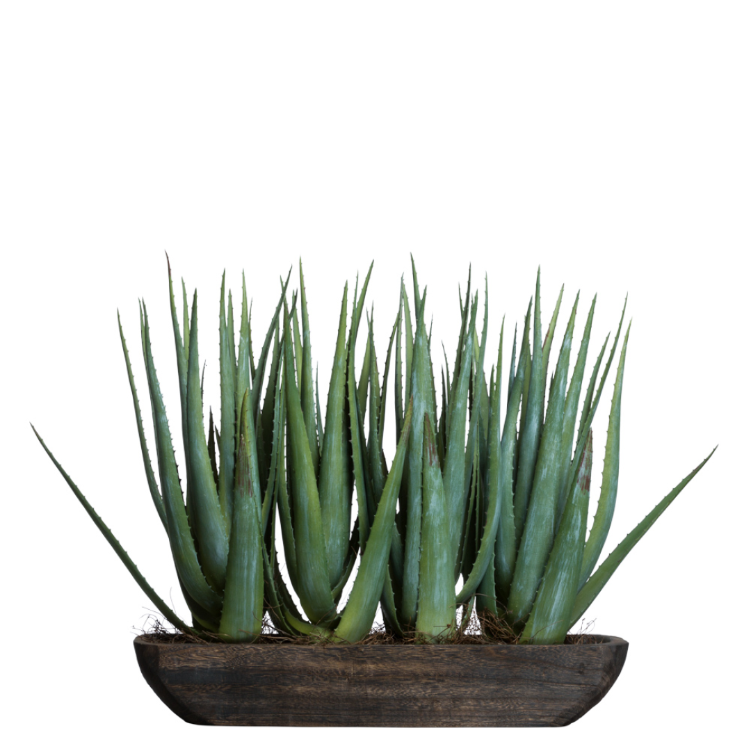 Artificial aloe plant arrangement in rustic wooden planter, realistic green foliage