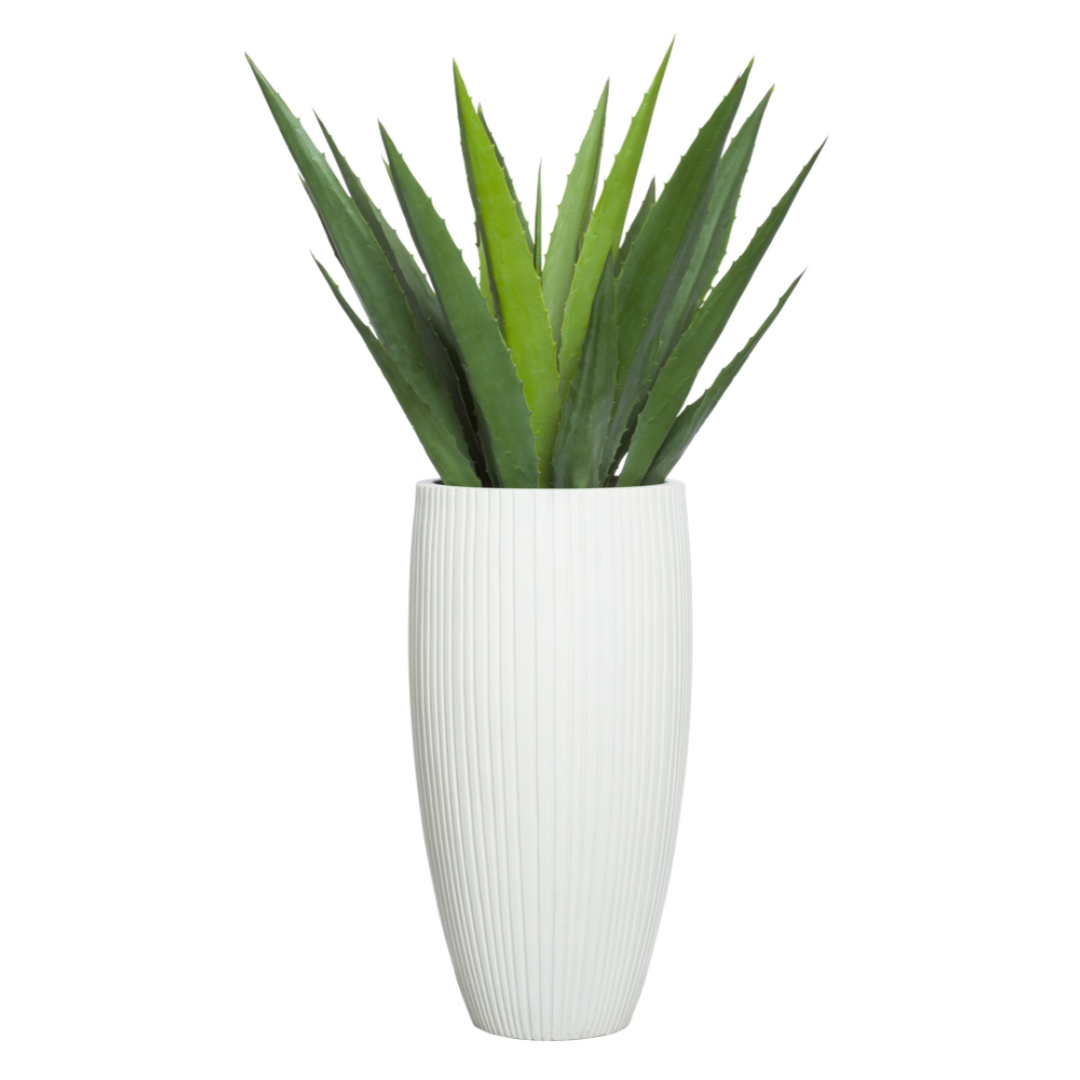 Artificial aloe plant in tall white textured vase, modern home or office decor