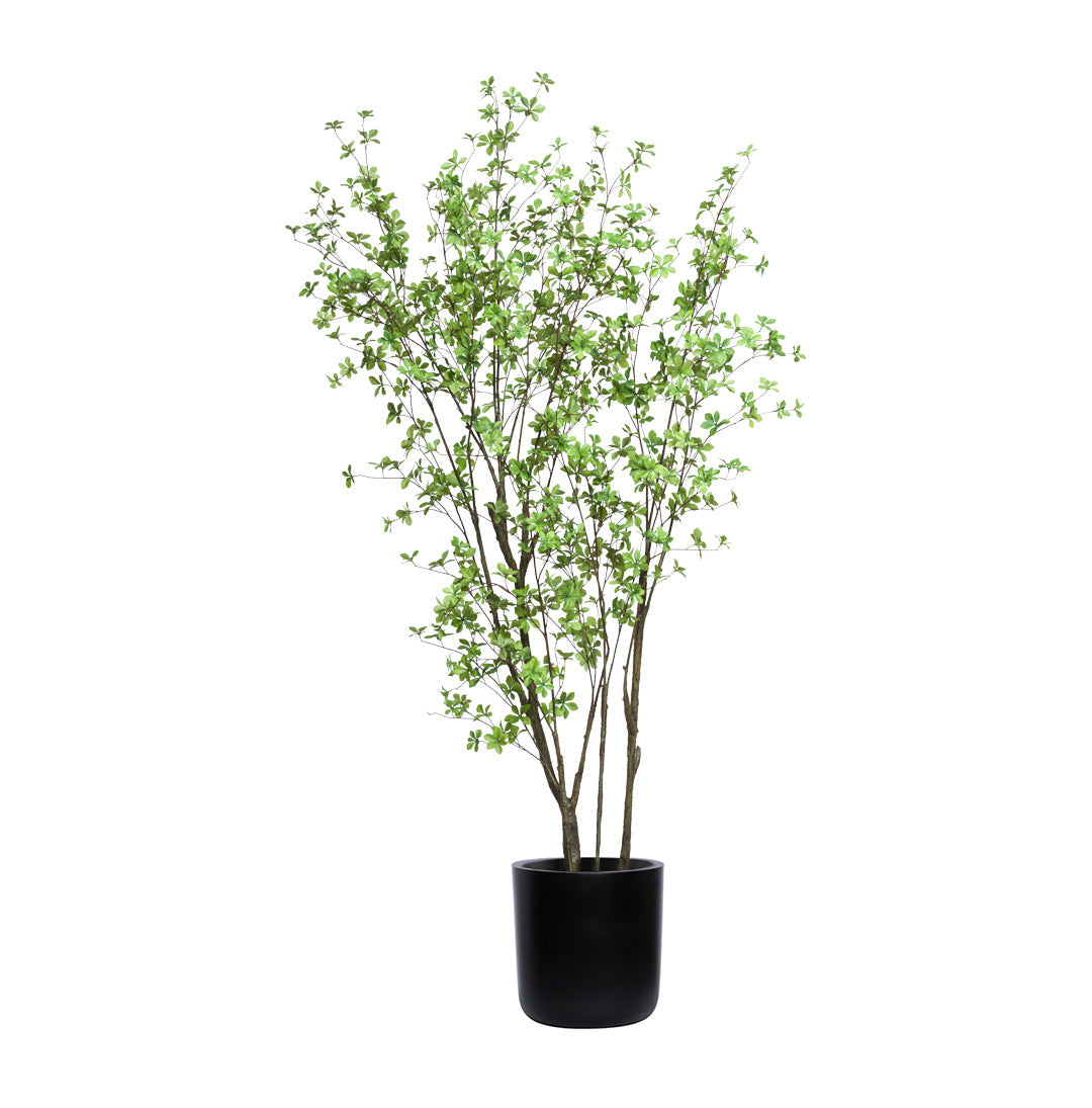 Artificial Asian birch tree with green foliage in matte black pot on white background