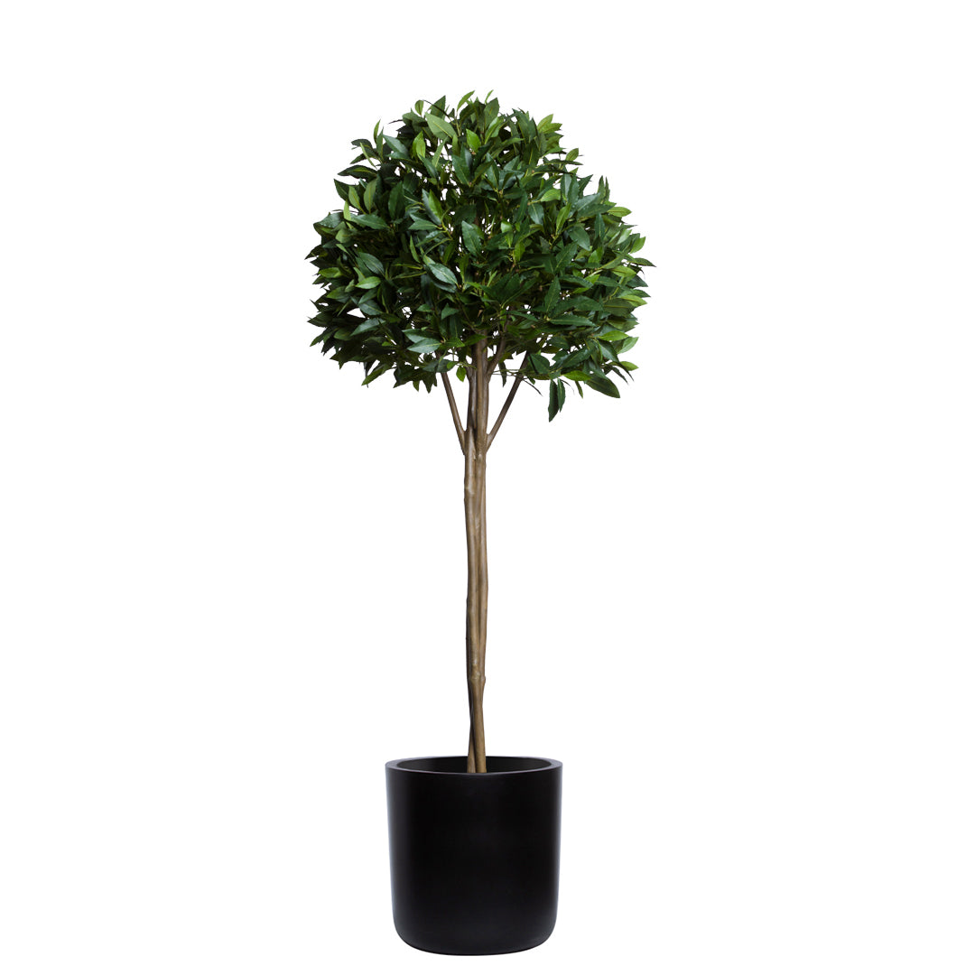 Artificial bay leaf topiary tree in a round black planter on white background