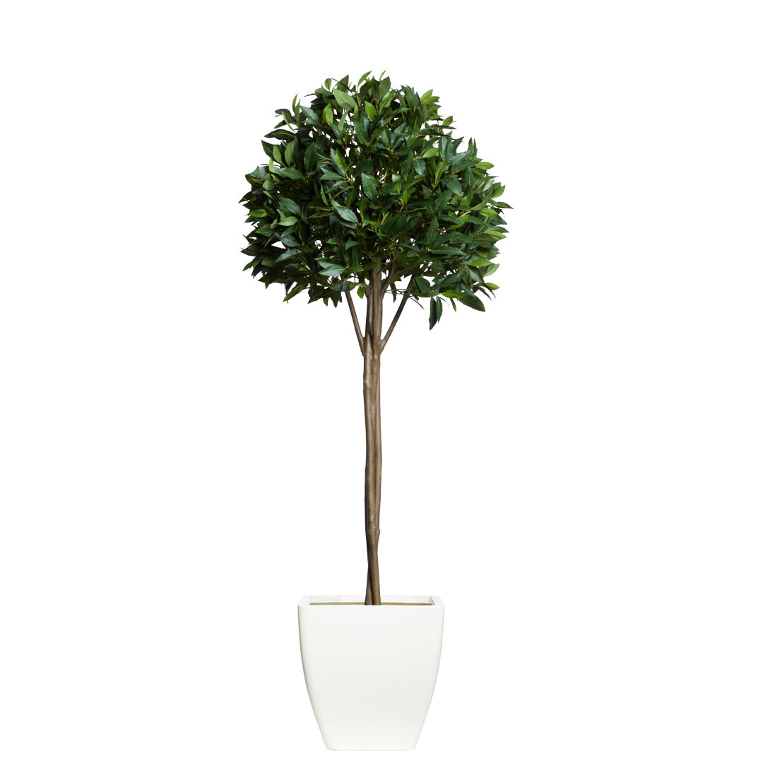 Bay leaf topiary artificial plant with dense green foliage in a modern white planter