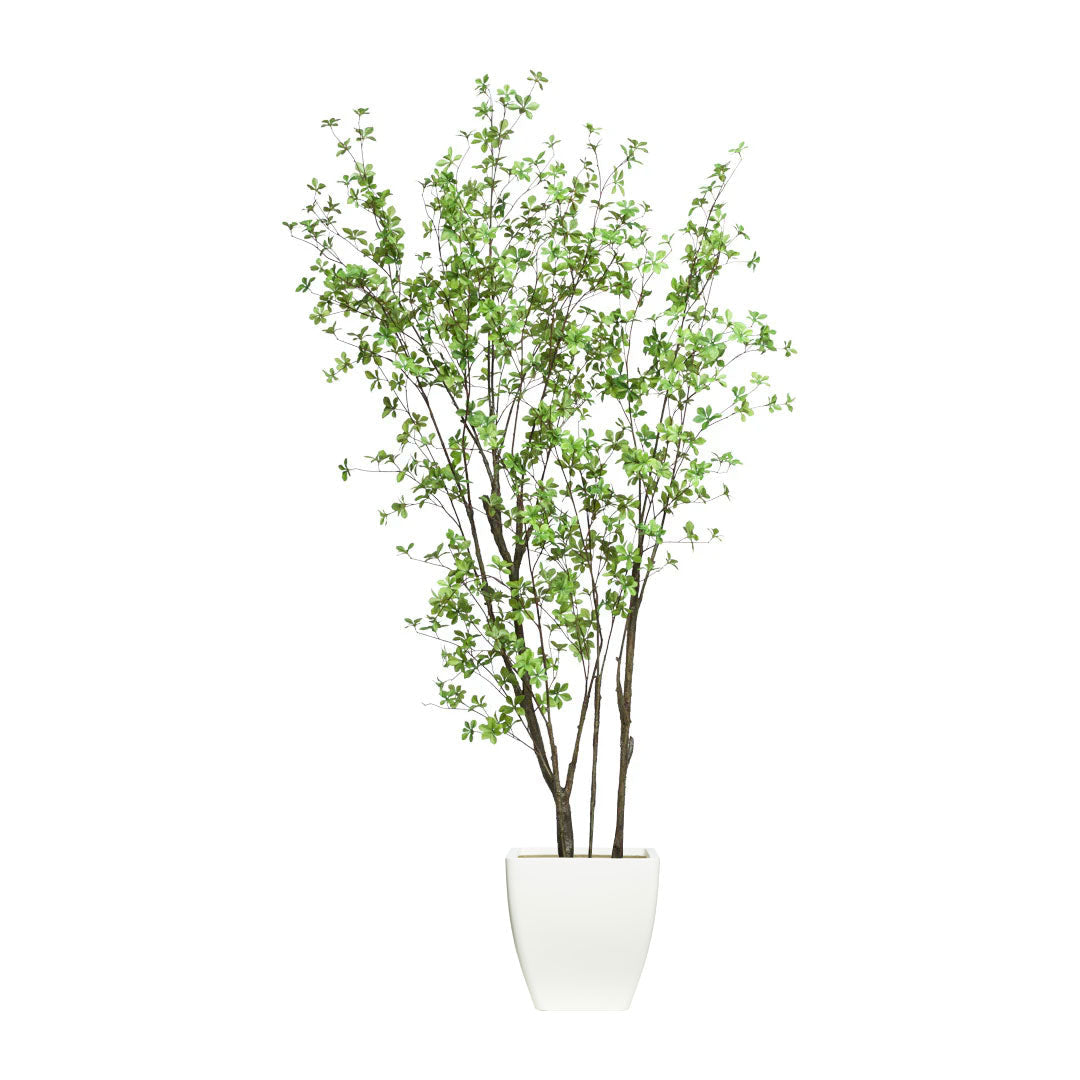 Artificial birch tree with green leaves in a white modern planter on white background
