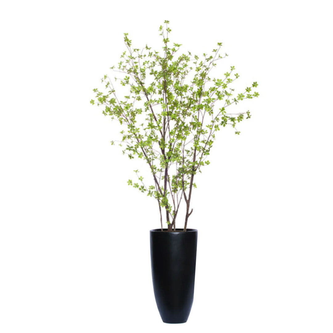 Artificial birch tree with green leaves in tall black vase, modern home decor