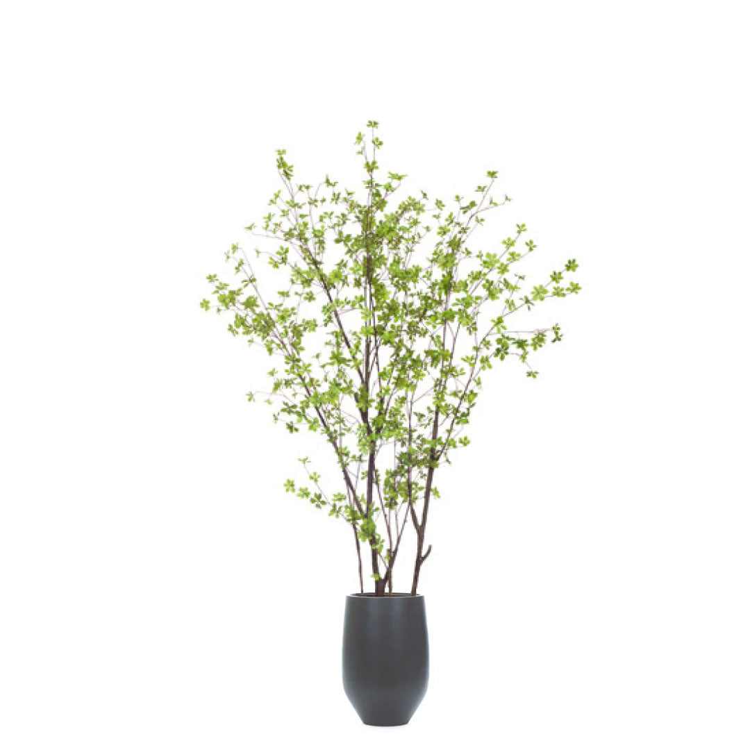 Artificial birch branches with green leaves in a sleek black tapered vase