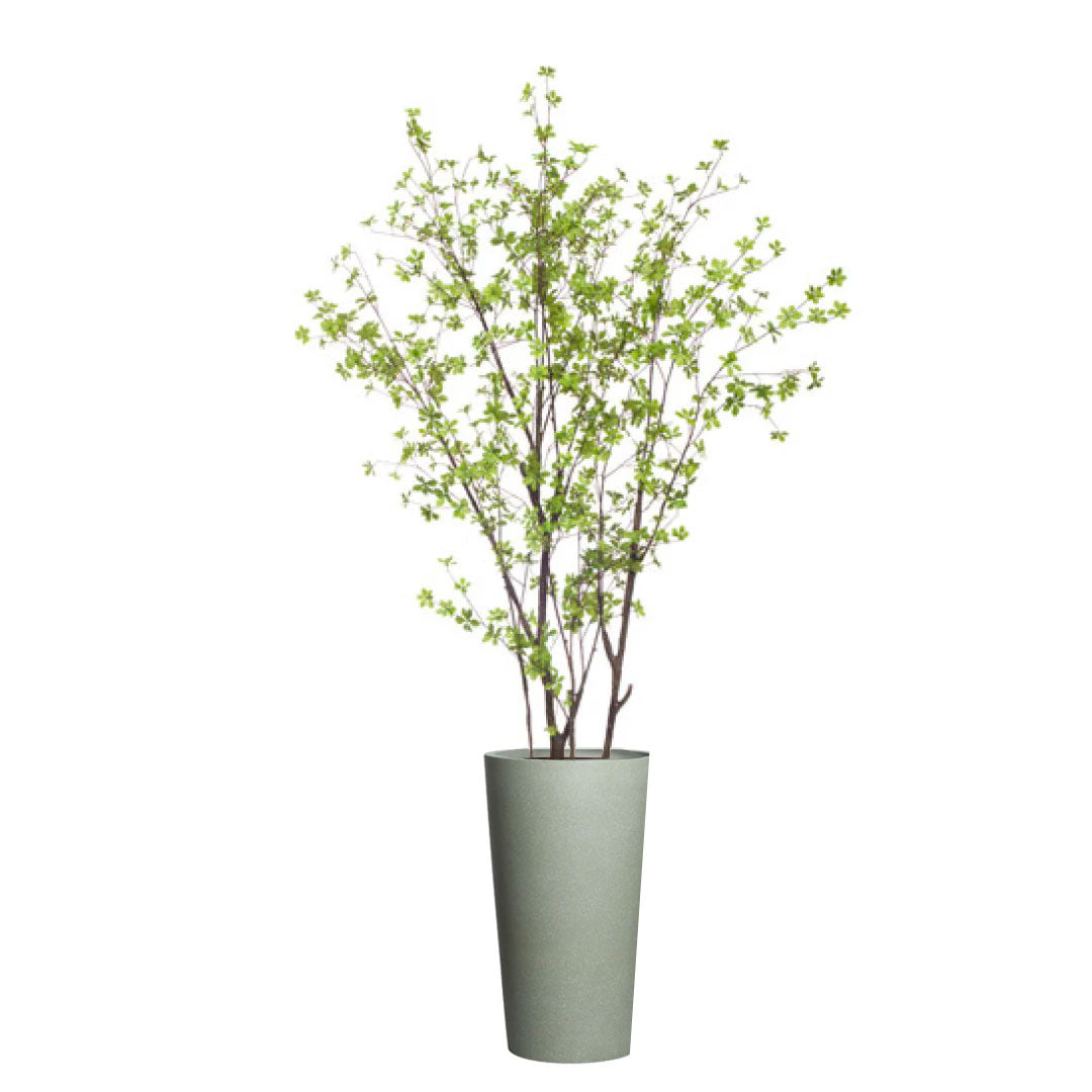 Artificial birch tree with green leaves in tall greystone planter on white background
