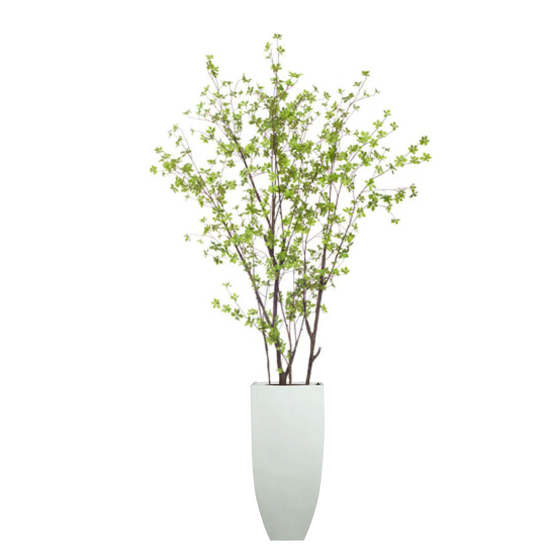 Artificial birch tree with green leaves in tall white planter on white background