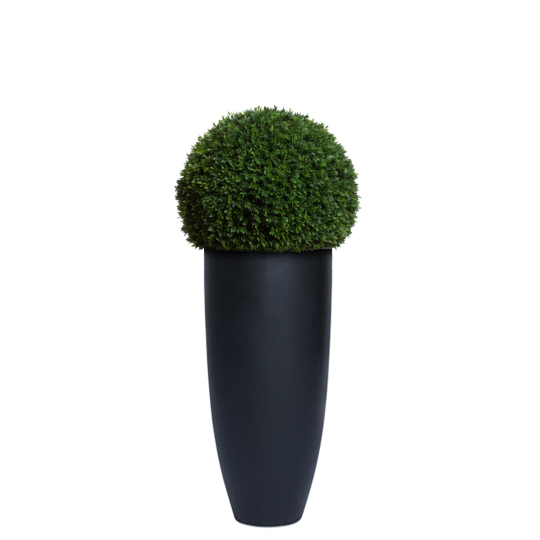 Artificial boxwood ball topiary in a tall black smooth planter, isolated on white background