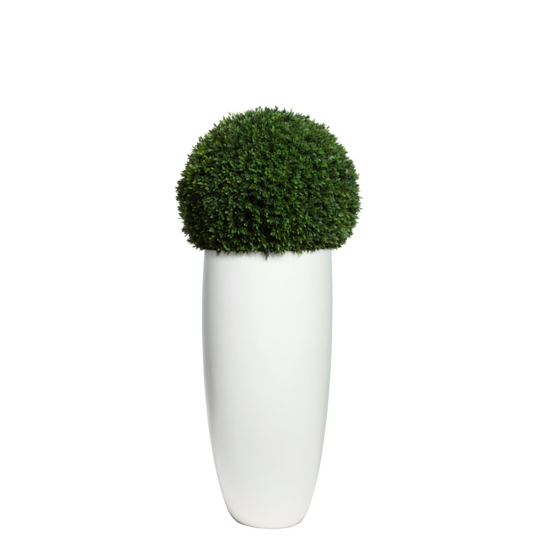 Artificial boxwood ball in a tall white smooth planter, isolated on white background