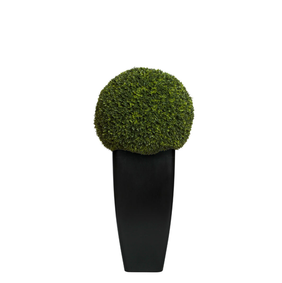 Artificial boxwood ball in tall black tapered planter, modern decorative greenery