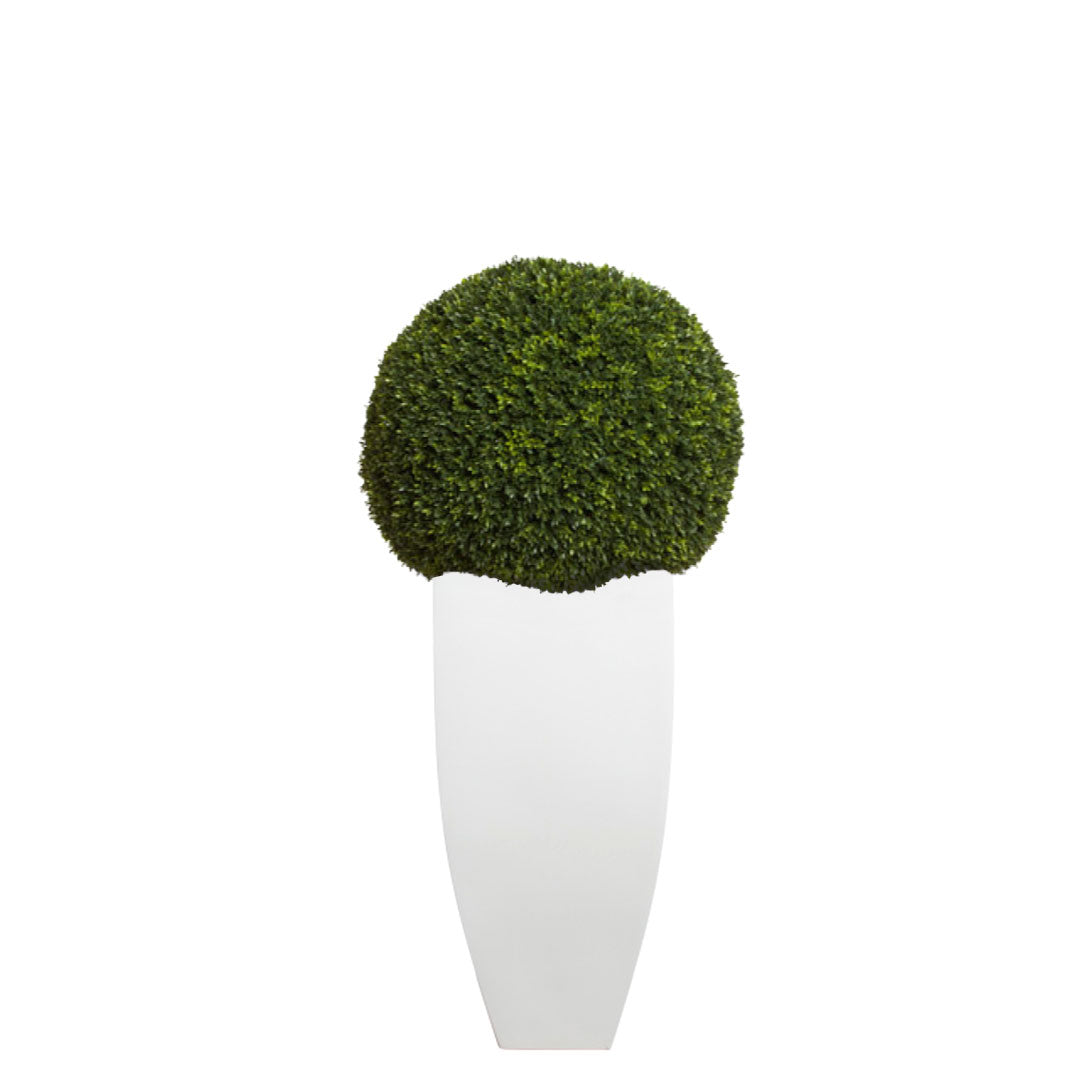 Artificial boxwood ball topiary in a modern white tapered planter