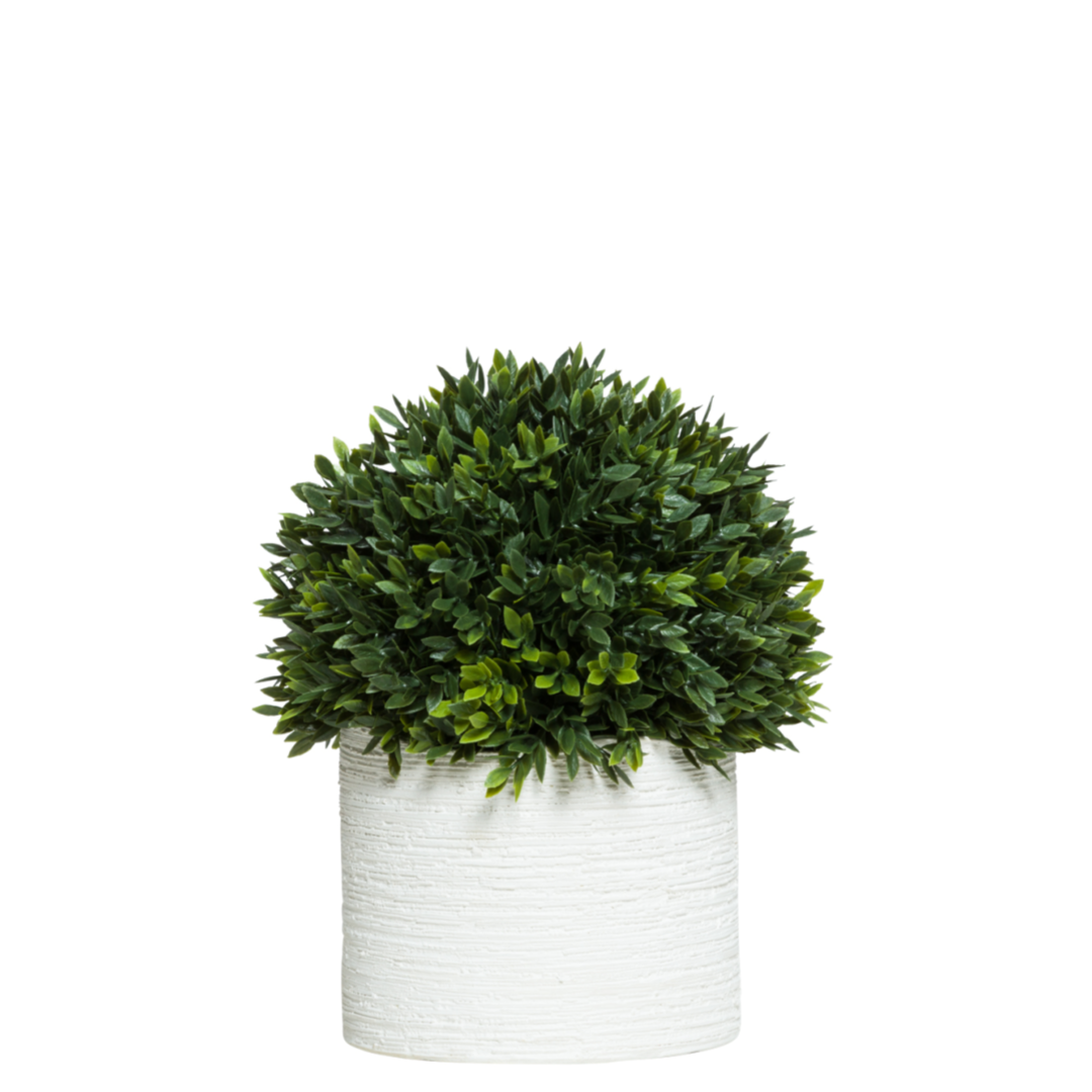 Artificial boxwood ball topiary in white textured pot, realistic greenery decor