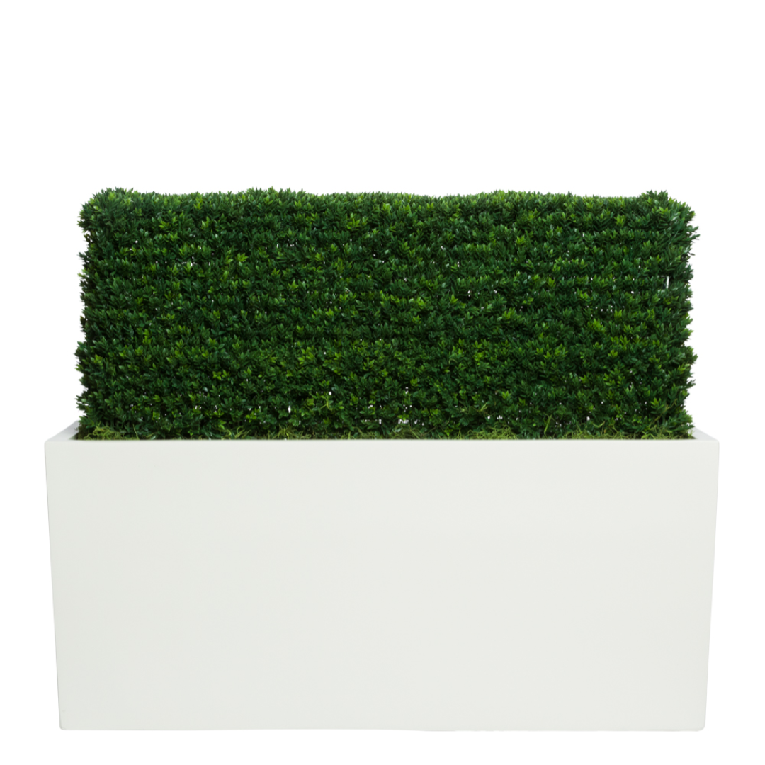 Artificial boxwood hedge in a modern rectangular white planter