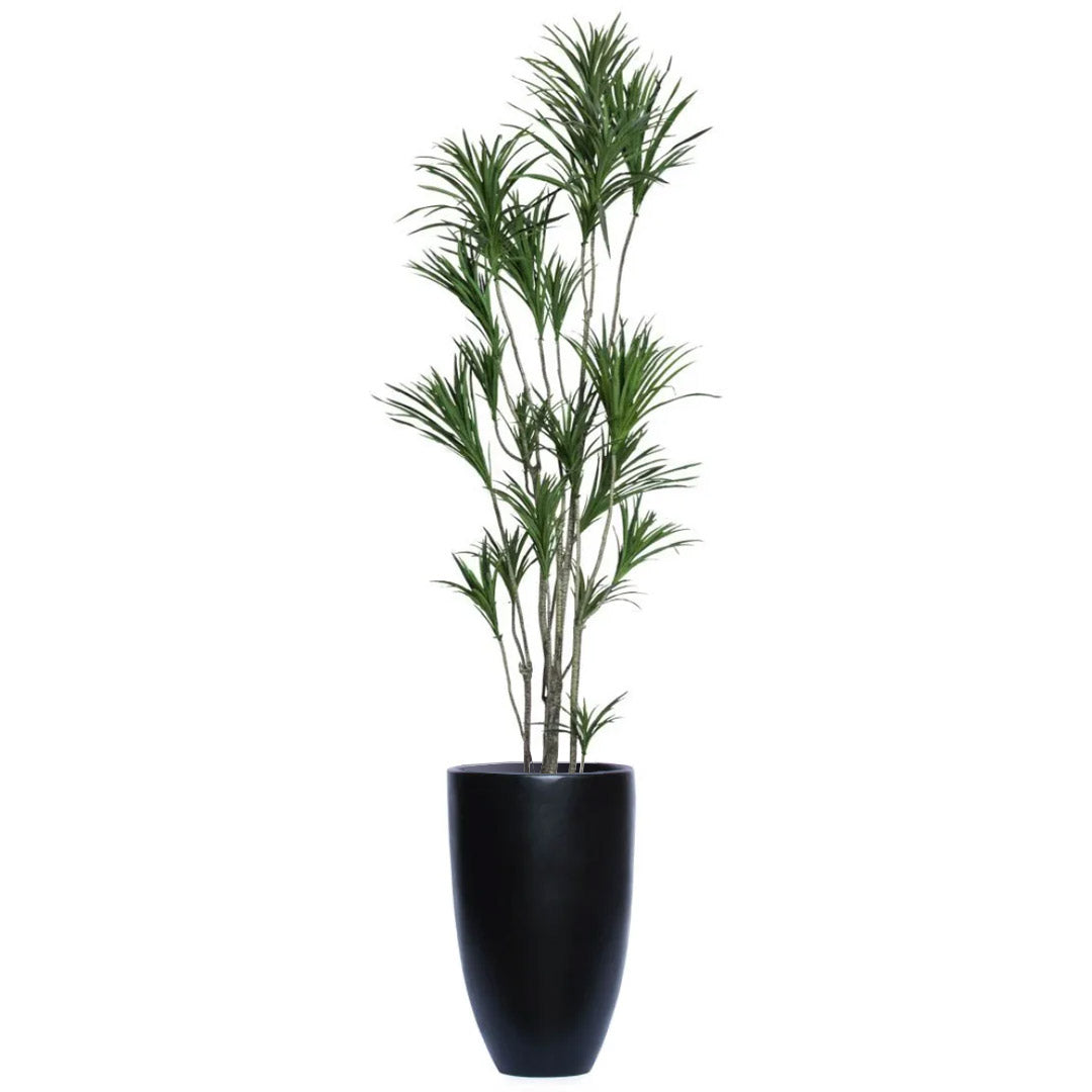 Artificial Dracaena plant with long green leaves in a tall black smooth planter
