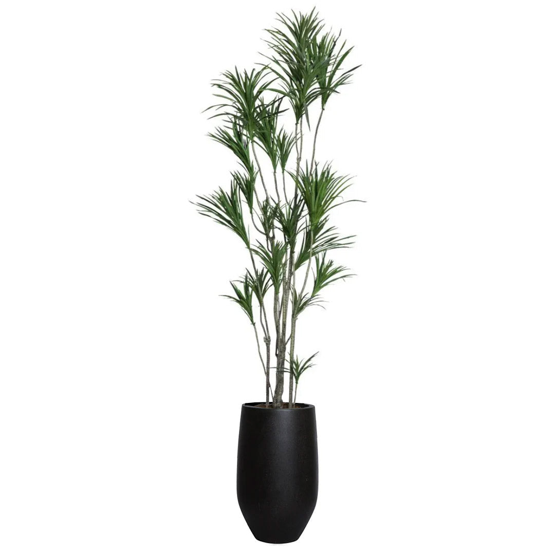Artificial dracaena plant with green leaves in a tall black tapered planter