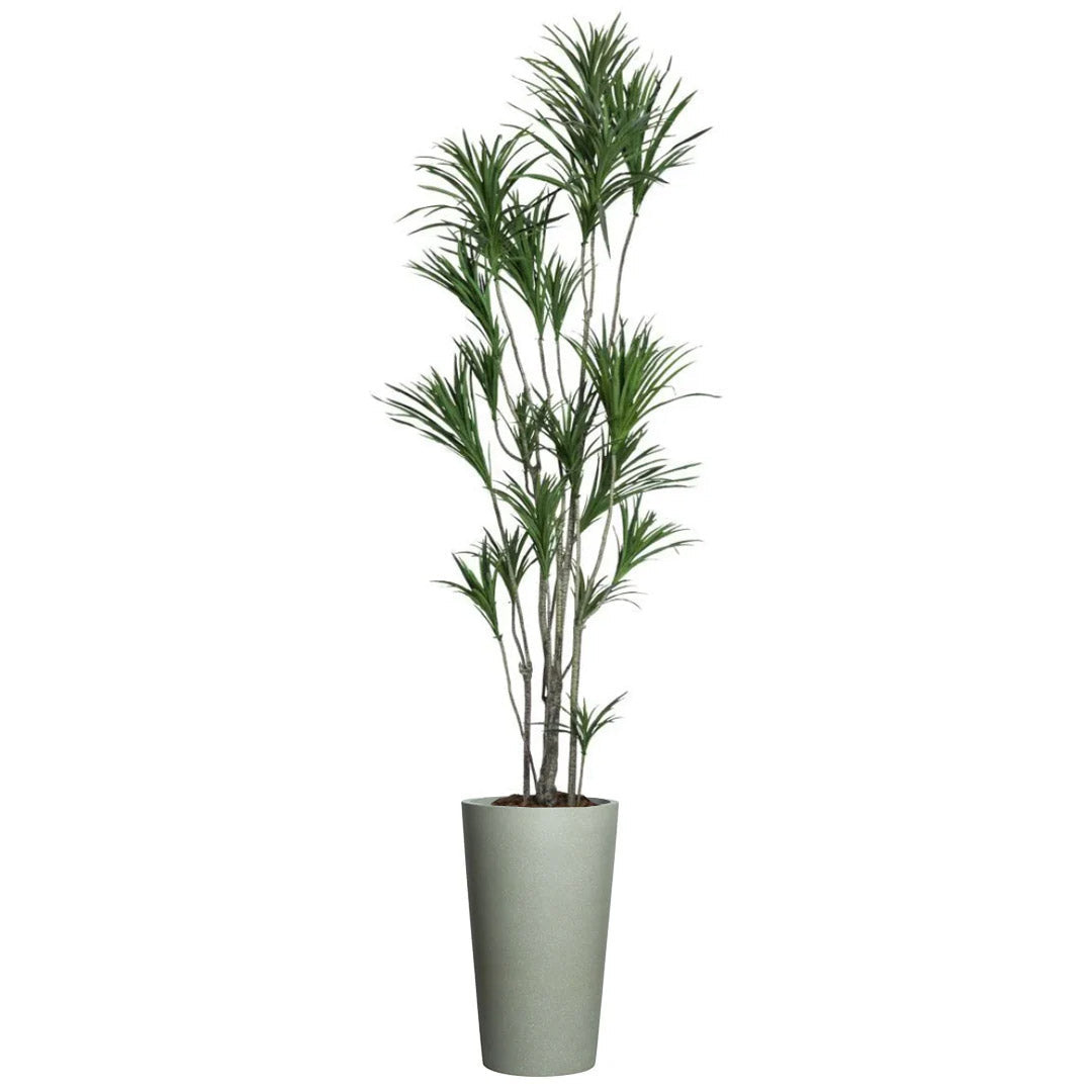 Tall artificial Dracaena plant with slender green leaves in a modern gray planter