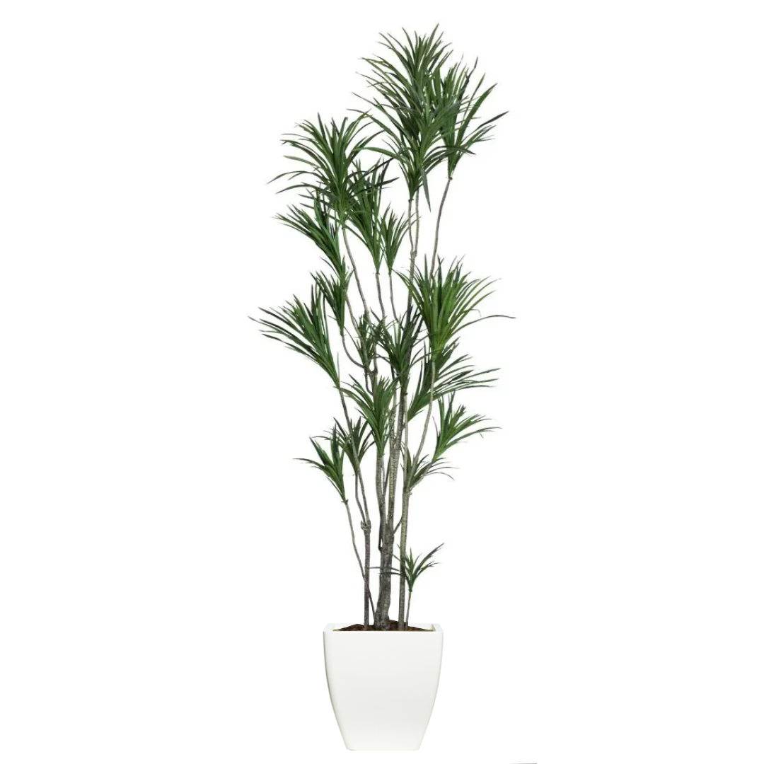 Artificial Dracaena plant with long green leaves in a modern white planter