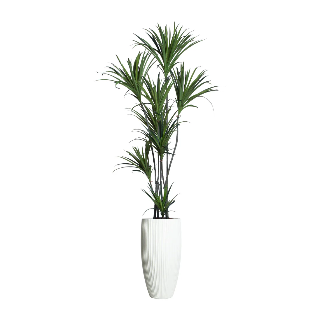 Artificial Dracaena plant with green leaves in a tall white ribbed planter, isolated