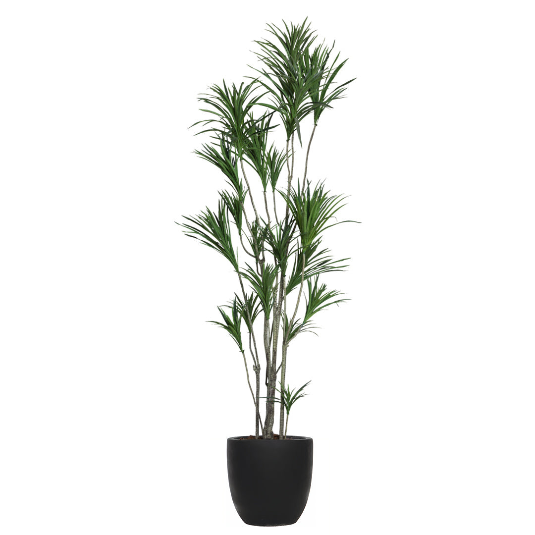 Artificial Dracaena plant with green leaves in a modern black pot on white background