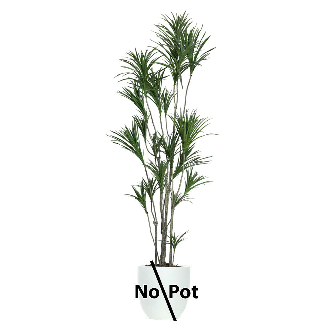 Artificial dracaena tree with slender green leaves, displayed without pot, on white background.