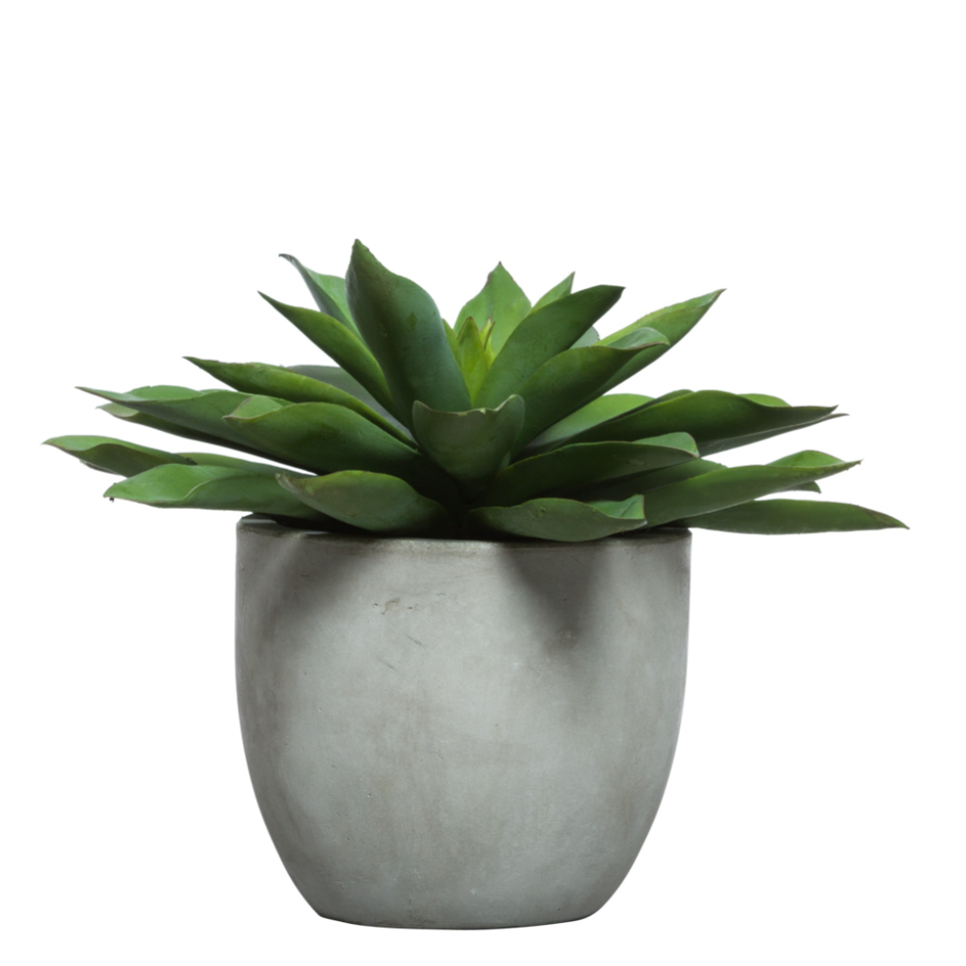 Artificial Echeveria succulent in round gray planter on white background