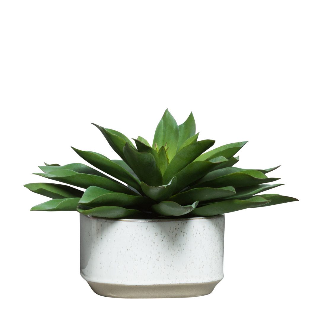 Artificial echeveria succulent in white ceramic pot with realistic green leaves