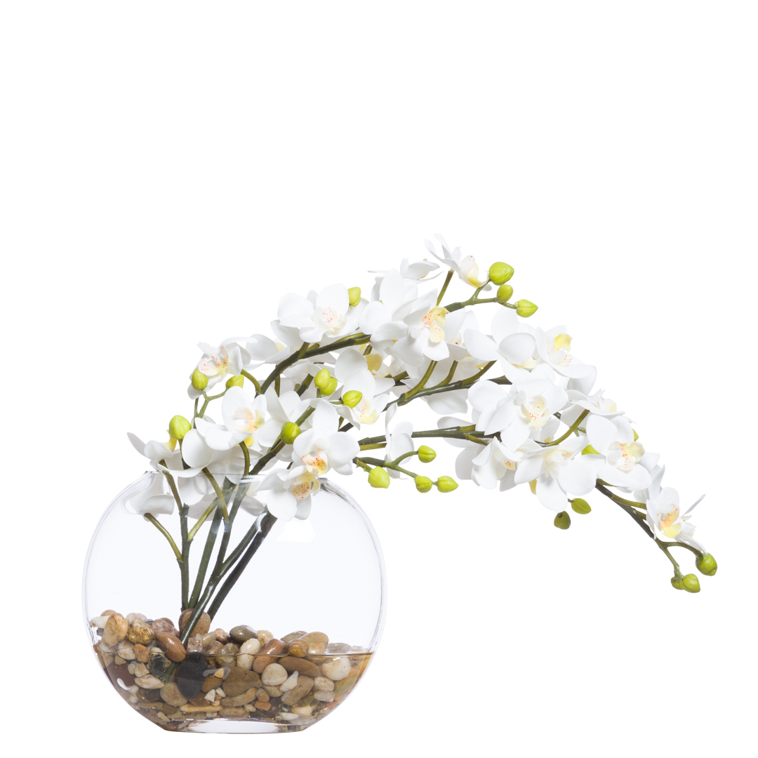 White mini phalaenopsis orchid arrangement in round glass vase with decorative pebbles