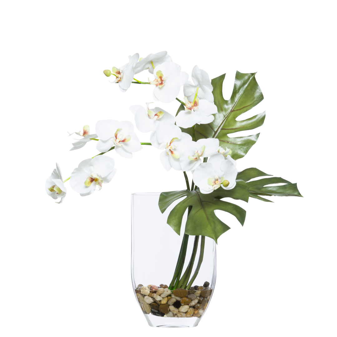 White phalaenopsis orchid arrangement with green leaves in a glass vase with pebbles