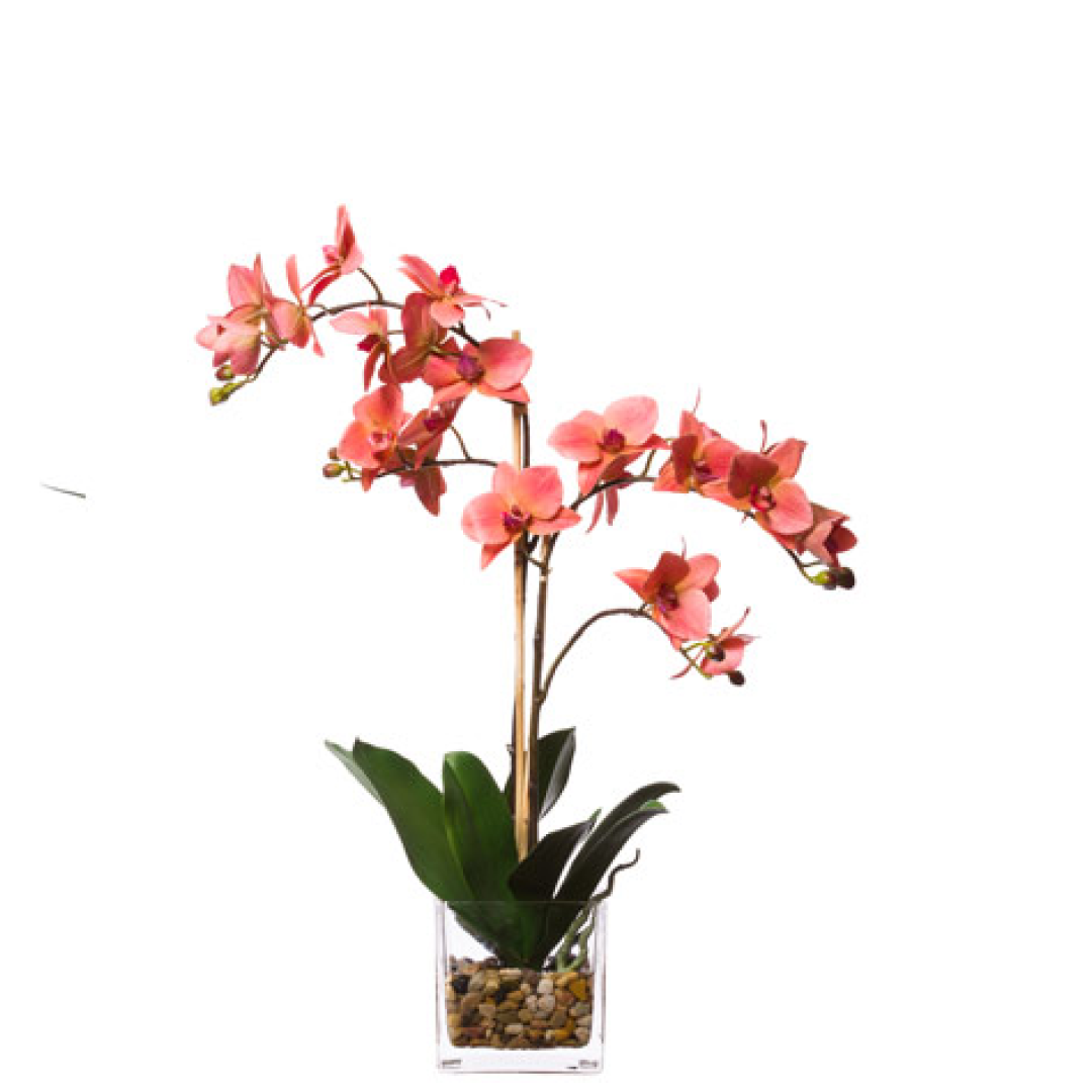 Artificial pink phalaenopsis orchid in glass vase with pebbles and green leaves
