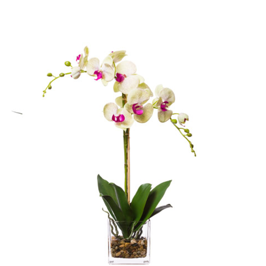 Artificial white and pink Phalaenopsis orchid in a clear glass vase with pebbles.