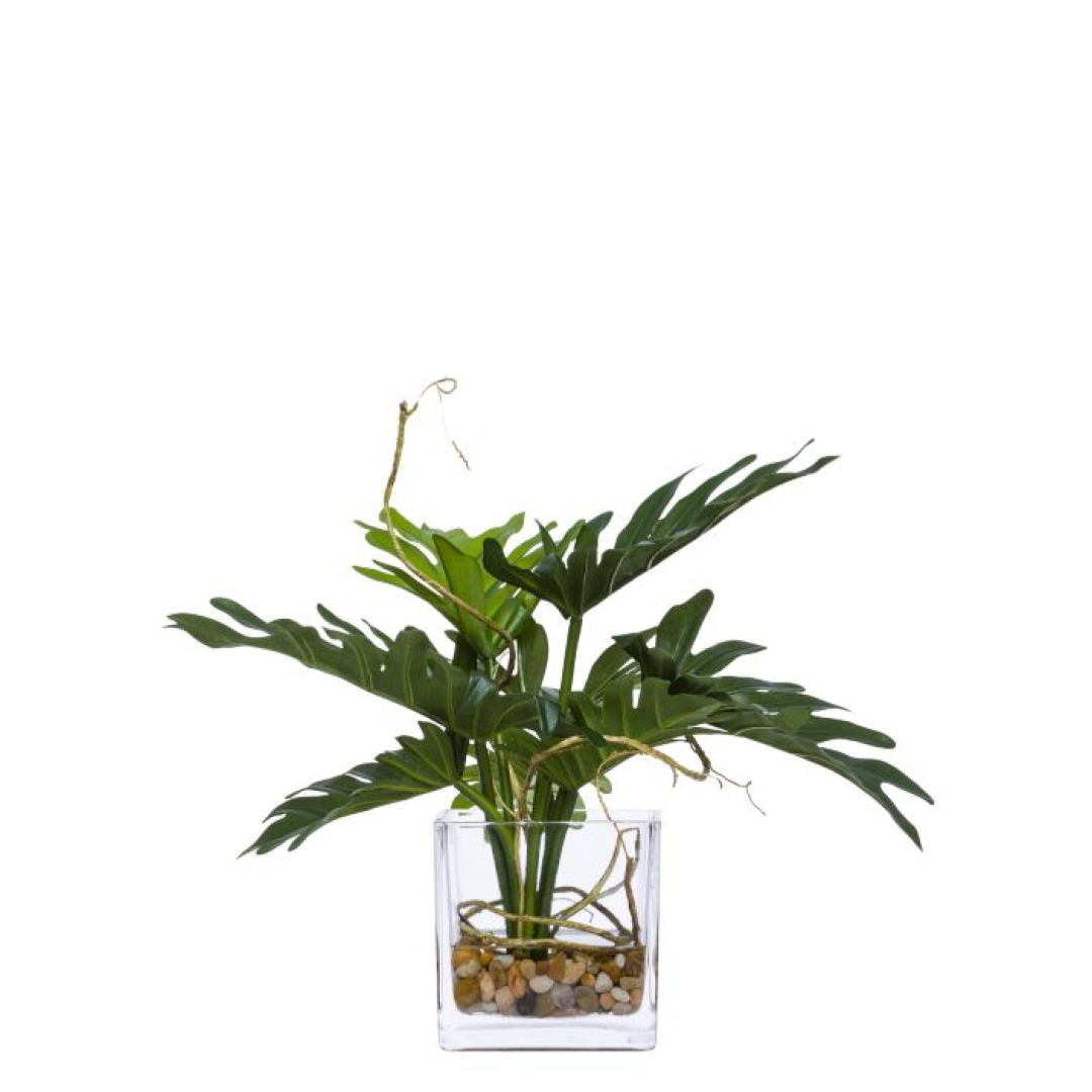 Artificial Philodendron Selloum in clear glass vase with pebbles, realistic green leaves