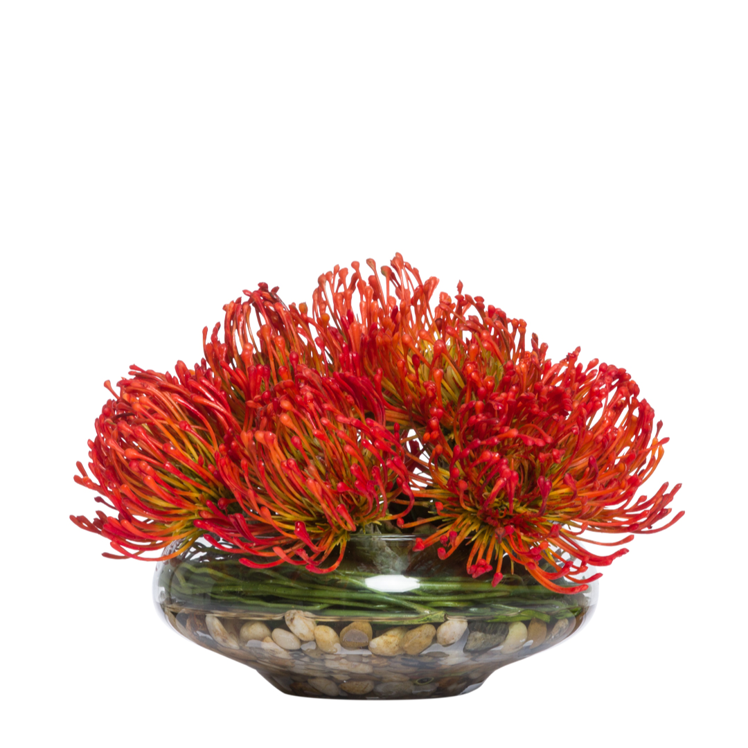 Artificial orange pincushion flowers arranged in a glass vase with pebbles, isolated on white.