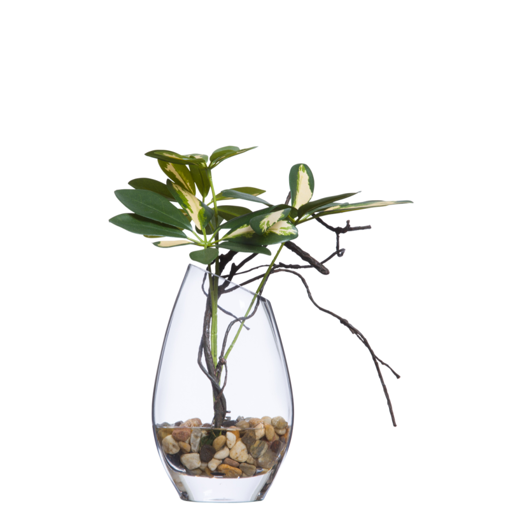 Artificial schefflera plant with variegated leaves in a clear glass vase with pebbles