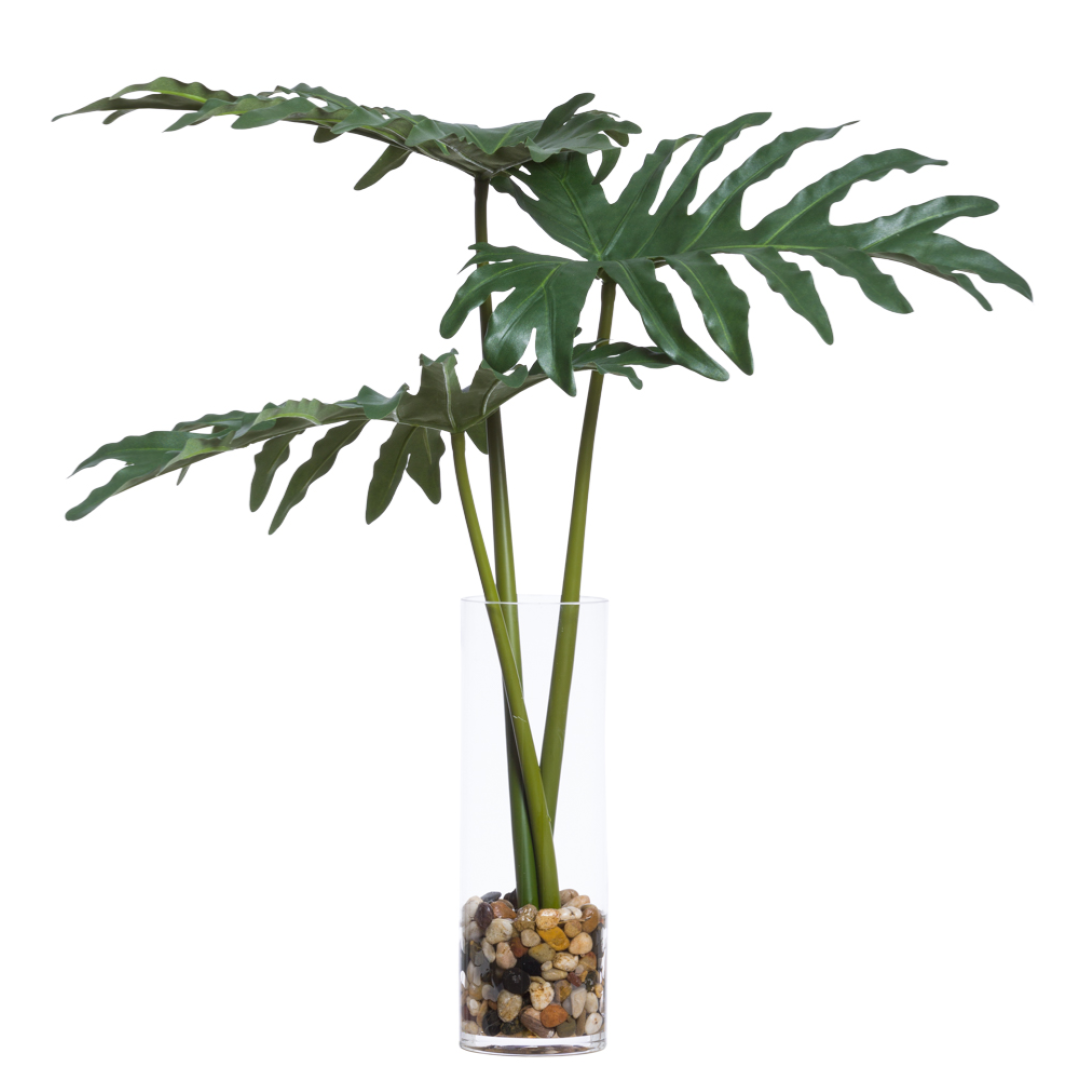 Artificial philodendron selloum in clear glass vase with decorative pebbles