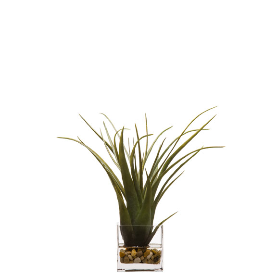 Artificial tillandsia air plant in clear glass vase with decorative stones