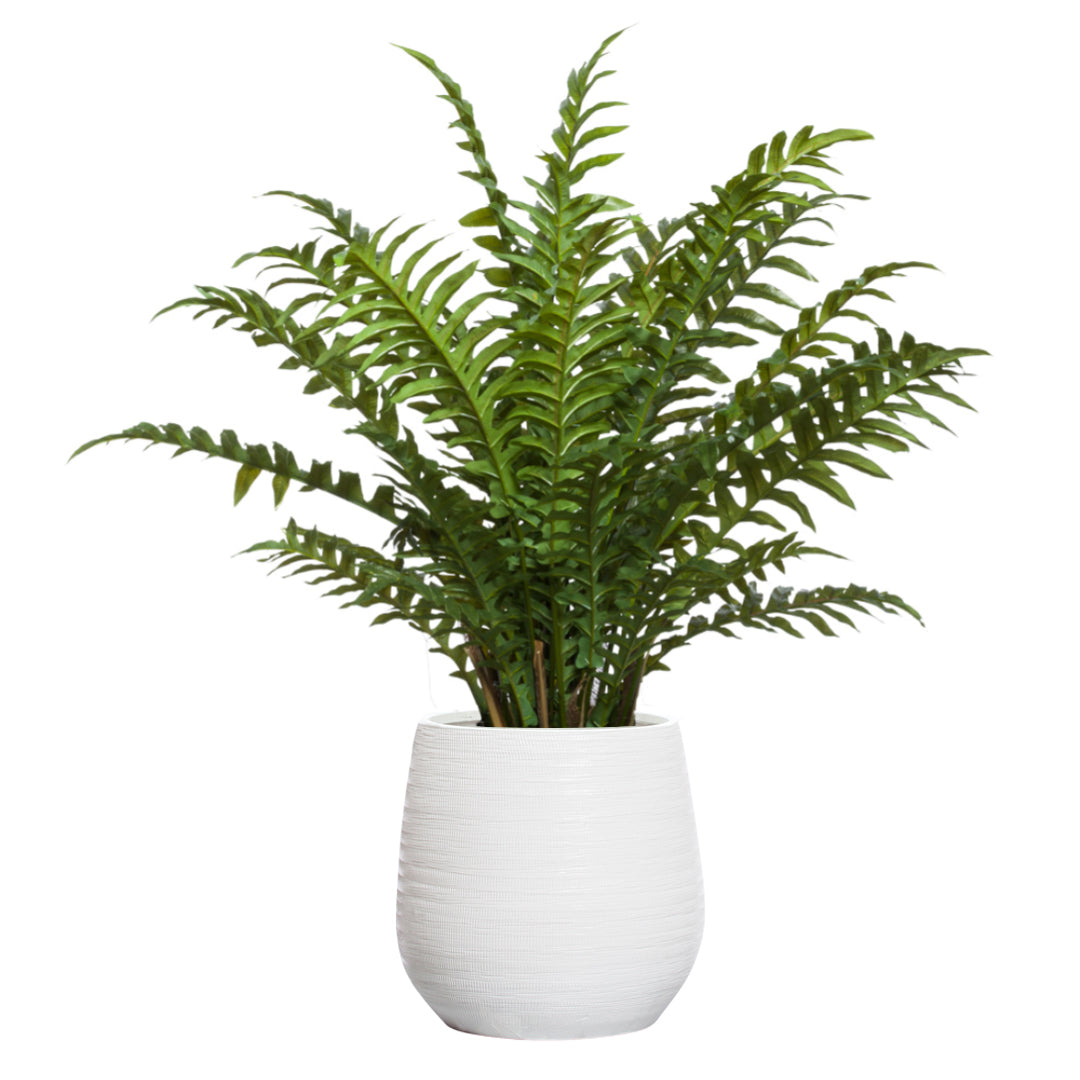 Lifelike artificial fern plant in a textured white planter on a plain white background