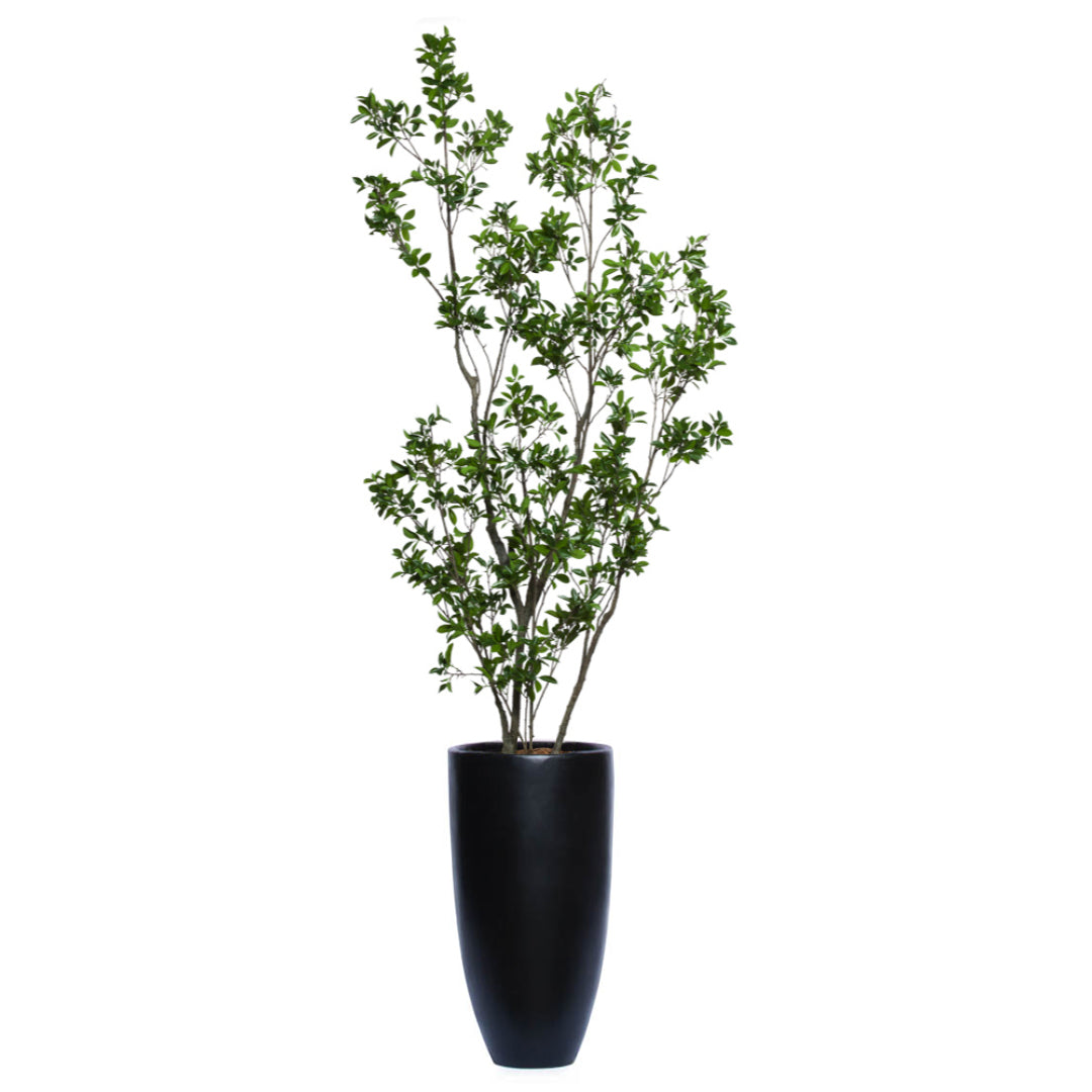 Tall artificial Ficus tree with green leaves in a sleek black planter, isolated on white