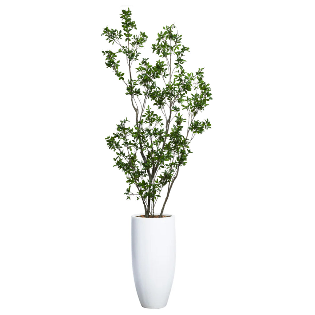 Artificial ficus tree with dense green leaves in a tall white planter on white background