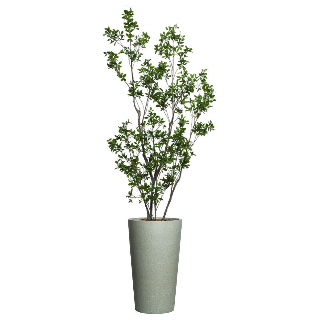Artificial ficus tree with dense green foliage in a tall greystone planter, isolated on white
