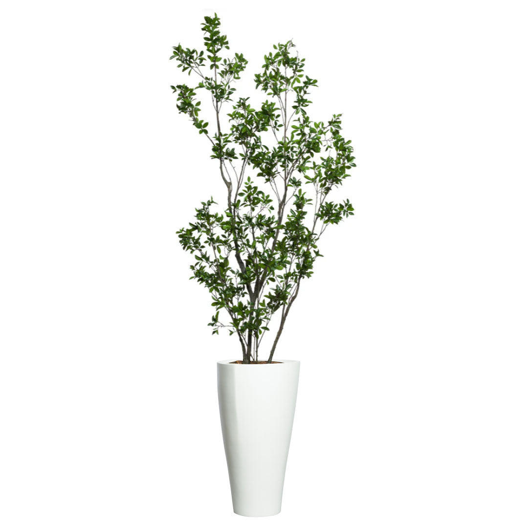 Artificial ficus tree with green leaves in a tall white planter on white background