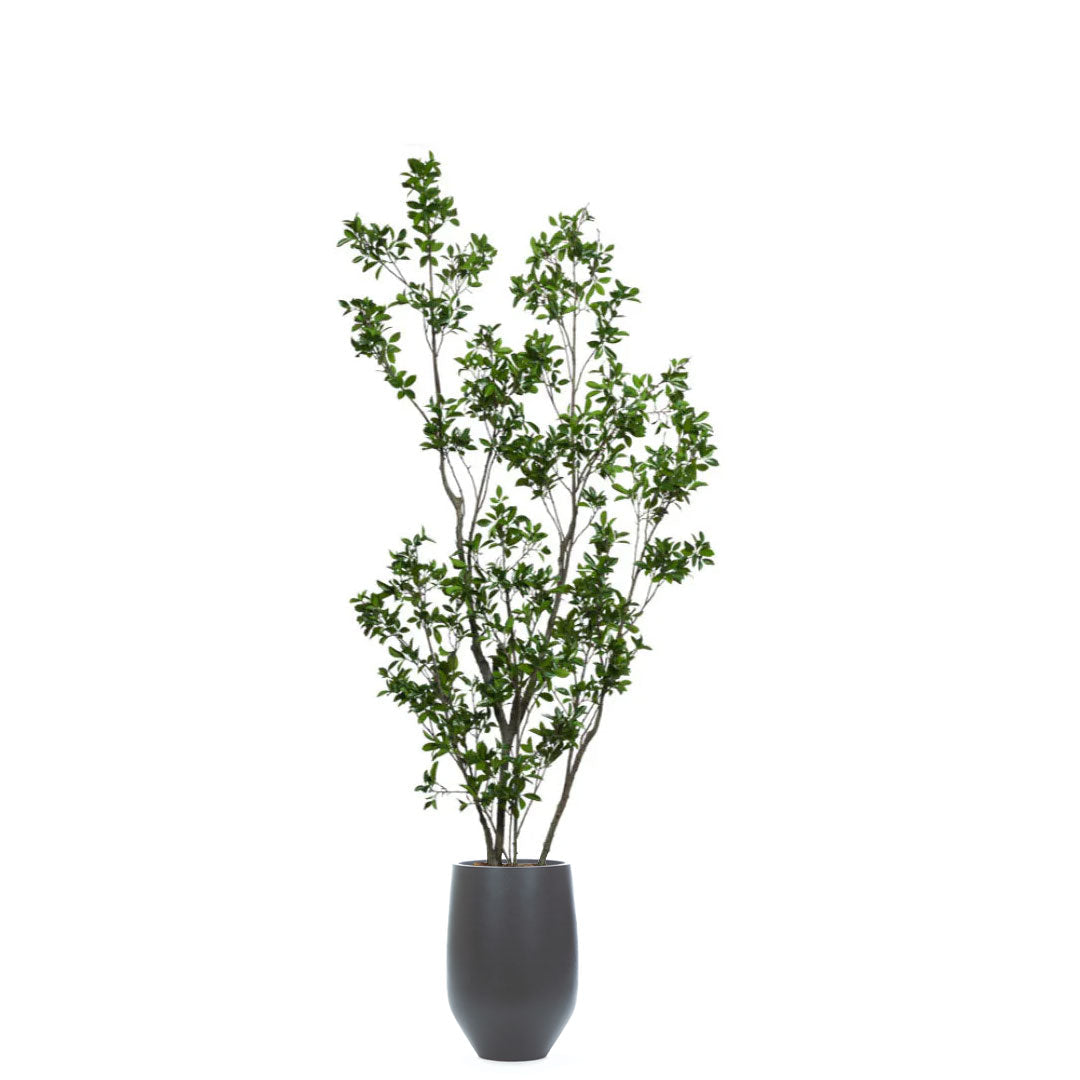 Artificial ficus tree with lush green leaves in a tall black tapered planter
