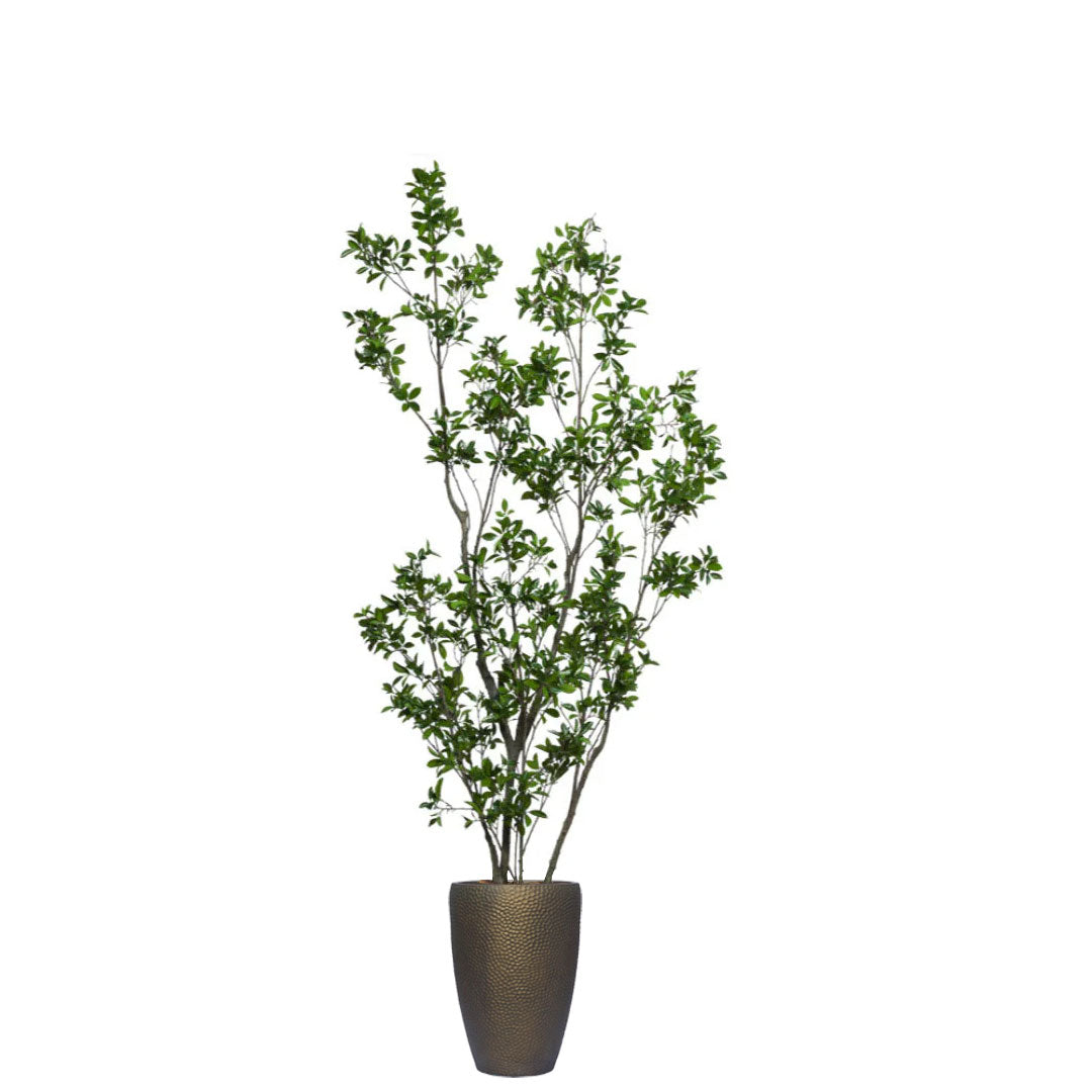 Artificial ficus tree with green foliage in a textured bronze planter, isolated on white