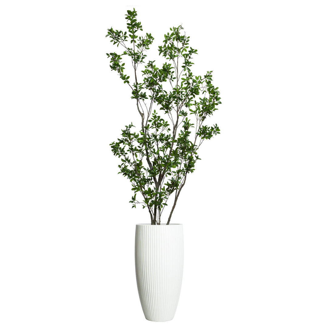 Artificial ficus plant with realistic green leaves in a tall white ribbed planter