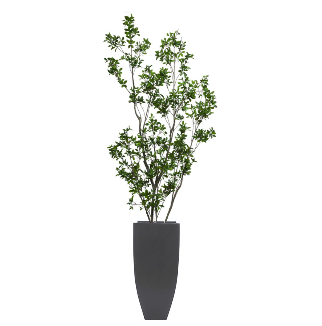 Artificial ficus tree with green leaves in a tall black planter on white background