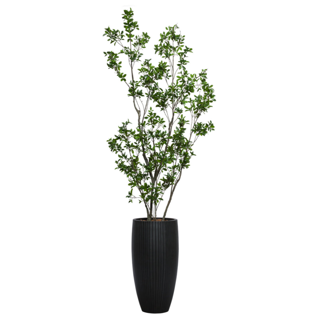 Tall artificial ficus tree with green leaves in a black ribbed planter on white background