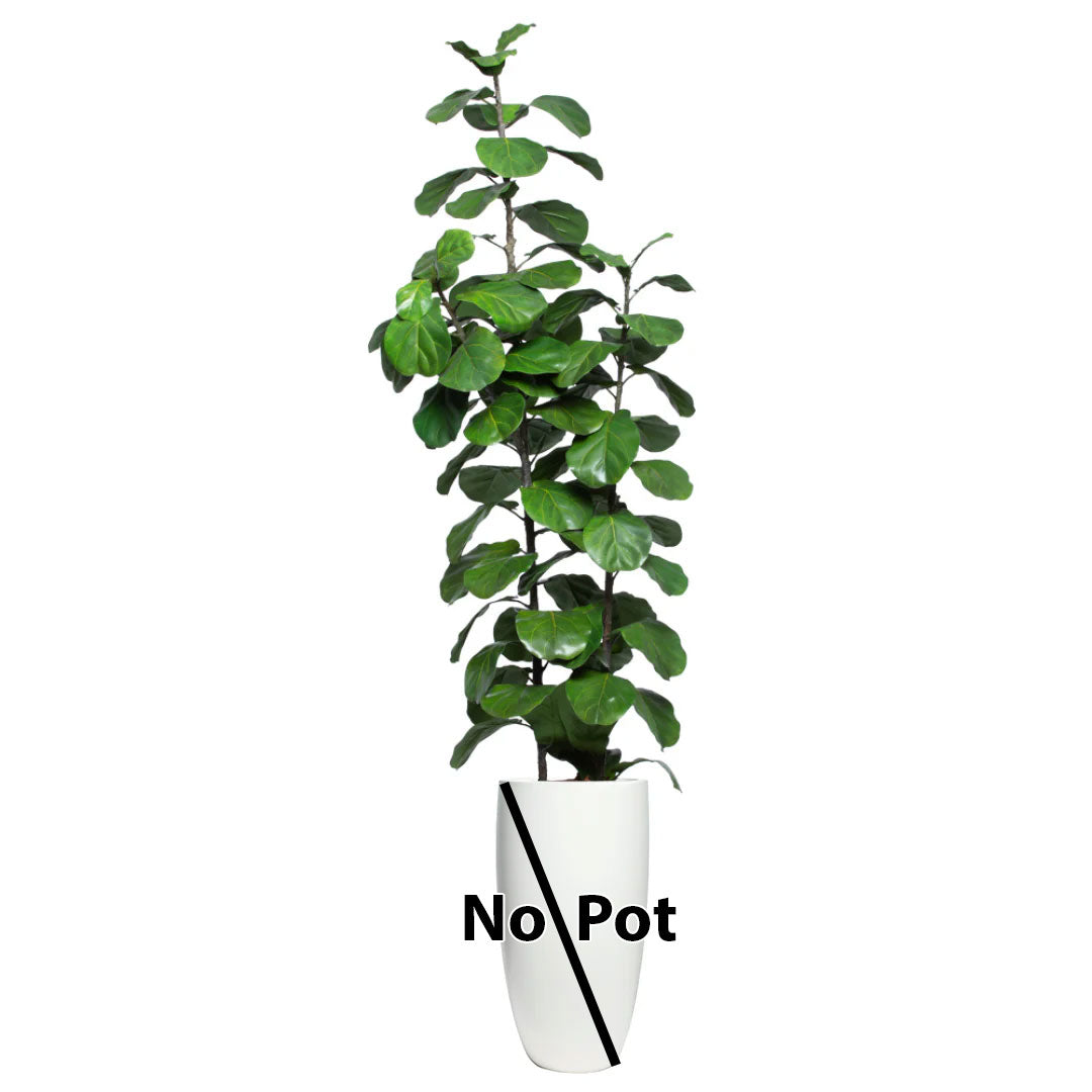 Artificial fiddle leaf fig tree with broad green leaves, labeled no pot, on white background.